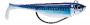 BISCAY COAST SHAD Couleur : BM