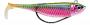 BISCAY COAST SHAD Couleur : SSDL